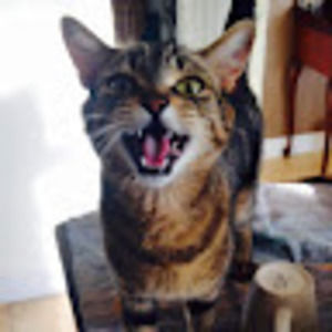 Meet your Posher, Marie